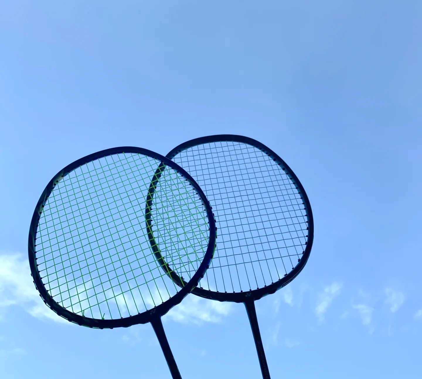 凯恩的家人 凯恩的家人