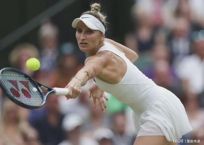 的穩定性與 的穩定性與