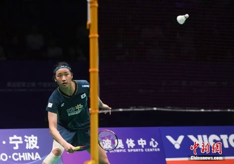 张雨霏的故 张雨霏的故