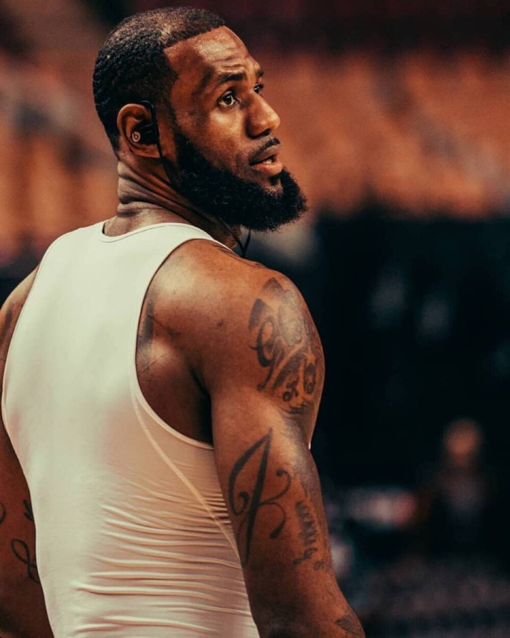 胜率稳定在 胜率稳定在