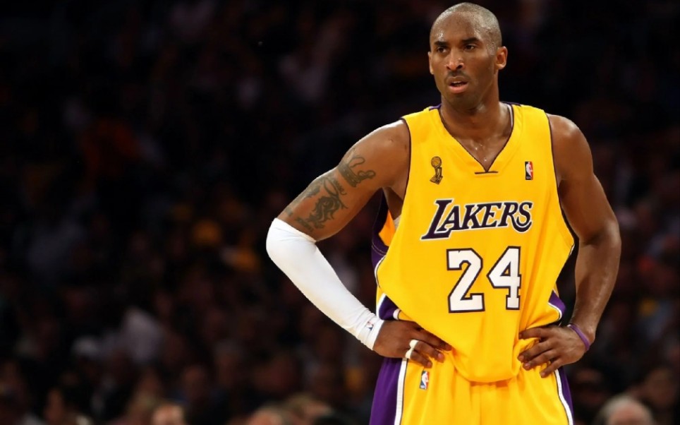 刷体系的适 刷体系的适